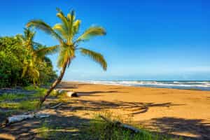 Tortuguero