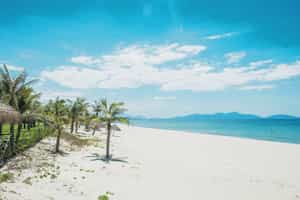 Take a dip in the sea in Hoi An