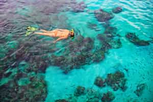 Snorkel in the waters of Halong Bay