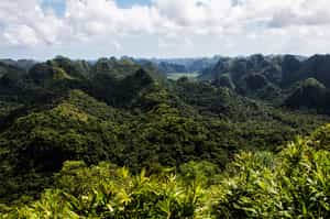 Trek through Cat Ba National Park in Halong Bay