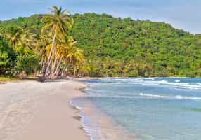 Go to Phu Quoc National Park near the Mekong Delta