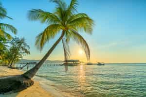 Take in the sunset at the beach in Phu Quoc