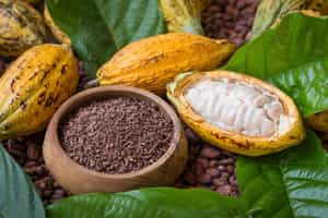Go to a chocolate making workshop in Antananarivo