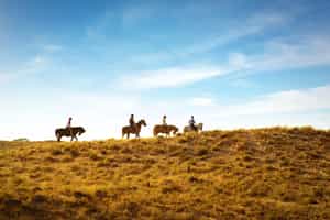 Ride on horse back through the Agafay Desert