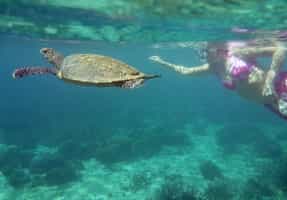 Snorkel the clear waters of Manafiafy