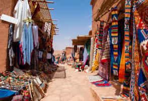 Take a guided Tour of Skoura