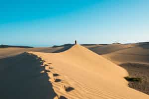 Stretch your legs on a walk through the desert