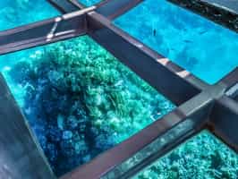 Go underwater in a semi submarine in Hurghada