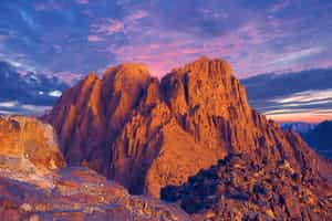 Hike to the top of Mount Sinai for sunrise