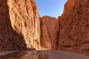 See the limestone cliffs of the Todra Gorges