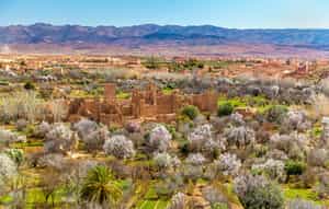 Take in the views across the Valley of Roses