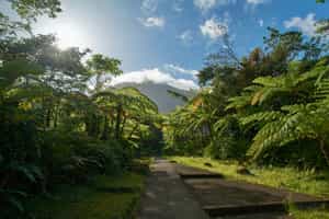 Explore the Ecuadorian Amazon on a guided hike