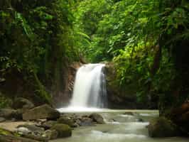 Explore the diversity of Podocarpus National Park