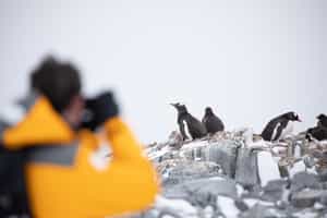 Enjoy photographic opportunities in Antarctica
