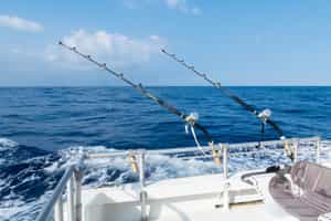 Cast your line out deep sea fishing from Msambweni