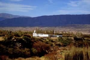 Cachi