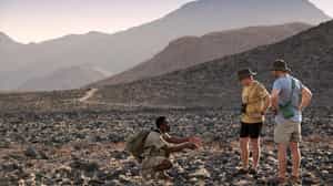 Learn about the flora and fauna in Sossusvlei