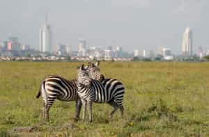 Nairobi