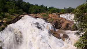 Visit the nearby Lowveld Botanical Gardens