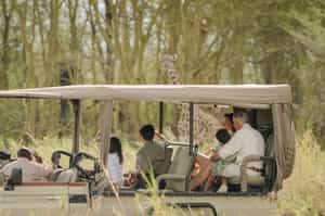 Head out on a game drive at Chem Chem 