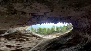 See the unique archeology of the Milodón caves