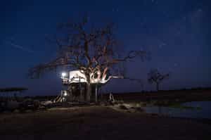 Sleep under the stars at Somalisa's sleepout
