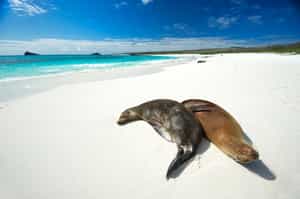 Explore Gardner Bay, Osborn Islet & Suarez Point