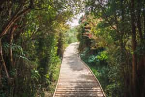 Go hiking in Chiloe National Park 