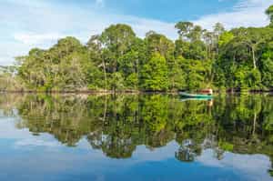 The Colombian Amazon