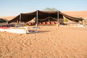 Visit a Bedouin community in Wahiba Sands