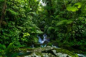 Explore the Los Campesinos Reserve, Manuel Antonio