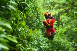 Take a canopy tour zip lining through the trees