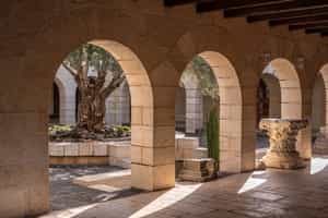 Visit the Church of the Multiplication at Tabgha
