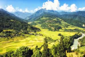 Meet local residents at a Paro Valley farmhouse