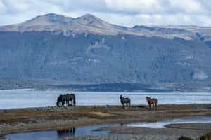 Visit the southernmost fishing port in Argentina