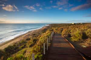Visit sea lions & elephant seals in Punta Norte
