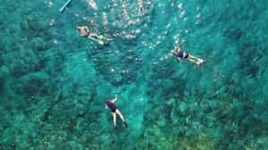 Go snorkeling off Menjangan Island