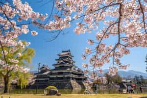 Visit the pristinely preserved Matsumoto Castle