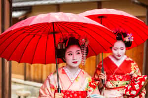 Take a walking tour of the Geisha districts, Kyoto