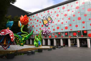 Explore Matsumoto city's vibrant art scene
