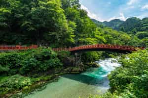 Echoes of Edo in Nikko's Mystic Trails, Tokyo