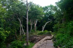 Visit Ritigala Monastery with a hermit monk
