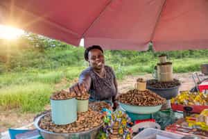 Go on an immersive tour of Maun