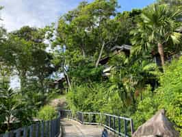 Take a Victoria and rum tasting tour in Seychelles