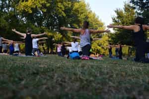 Strength and mobility movements