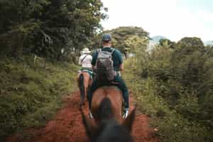 Take a thrilling horse ride in scenic Drakensberg