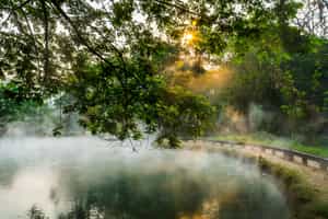 Bathe in the natural hot springs of Chaing Rai
