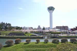 Go on an Afternoon tour of Onuma
