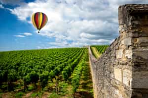 Enjoy the coffee landscape on a hot air balloon