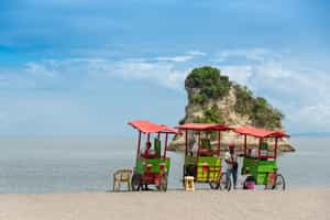 Explore pristine beaches and jungles on a hike